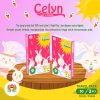 Celyn Travel Pack Facial Tissue